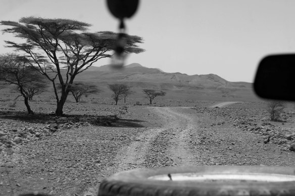 The rocky road (Photo: RWH)