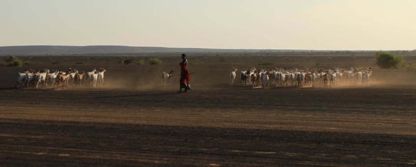 Nomads in Lake Turkana