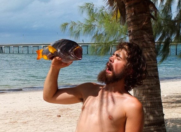 Our fish supper (Photo AV)