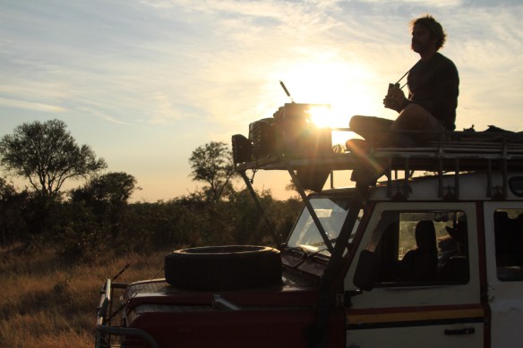 Look out  (Photo: RWH)